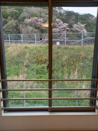 磯ノ浦駅 徒歩18分 1階の物件内観写真